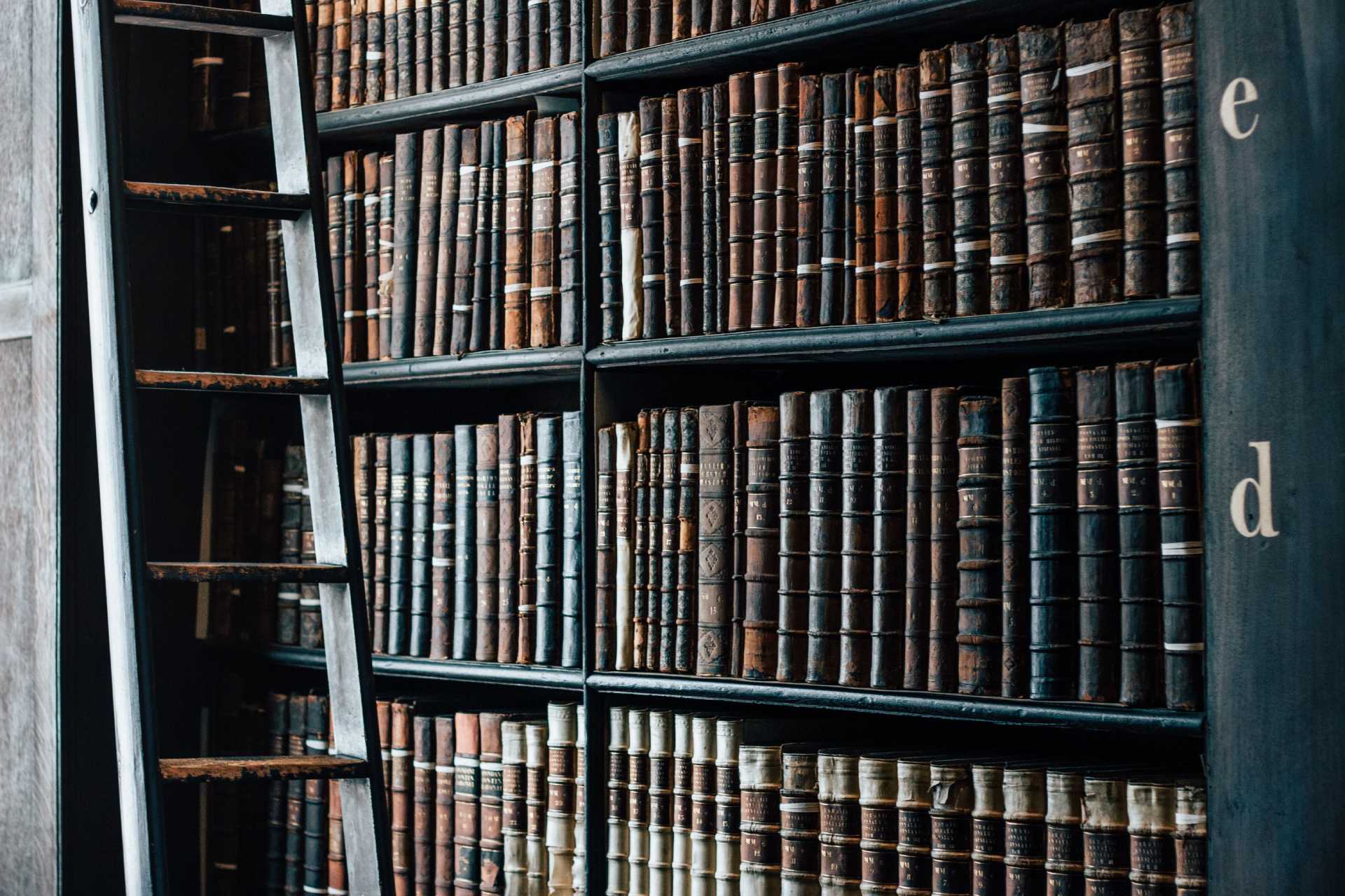 A ladder in front of some books on the wall.